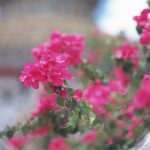 2016-02-19シンガポール