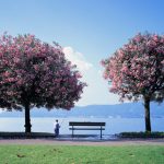 2017-02-10人を好きになること