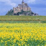 2017-03-06嫌な思い