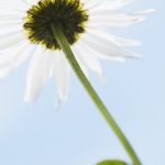 2016-11-03人間関係