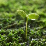 2012-03-03なりたい大人