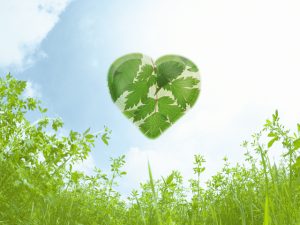 2012-02-23ストレス太り