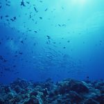 2016-08-30なんでも笑って過ごす