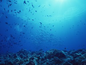 2016-08-30なんでも笑って過ごす