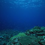 2012-09-03寝かせる