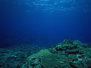 2012-09-03寝かせる