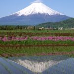 2014-03-01メッセージ