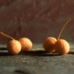 2016-08-10コミュニケーション