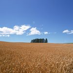 2016-11-27何もないこと