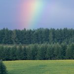 2019-03-28人を見下す