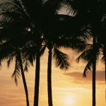 2019-01-29タイ旅行5日目