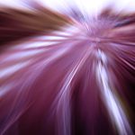 2019-02-04人生を楽しむ