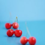 2019-02-08楽しむ気持ち