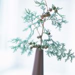 2019-04-17わがまま