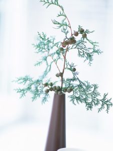 2019-04-17わがまま