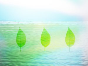 2017-04-24相手のイライラをどうにかする方法