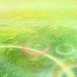 2019-03-26結果への執着