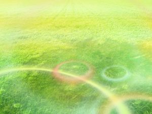 2019-03-26結果への執着