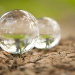 2019-09-05 事実と真実