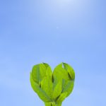 2019-04-04自分を許す