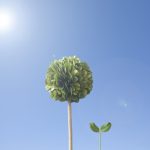 2019-08-23家族旅行