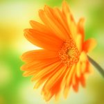 2017-08-25人生は活きた時間