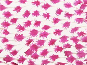 2018-01-21大事なこと