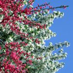 2018-06-21死んだときに思い出す顔