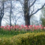 2018-02-06ごめんね