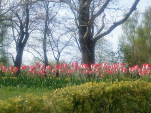 2018-02-06ごめんね