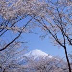 2018-09-24ランドセル