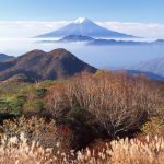 2018-02-06引っ込み思案