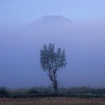 2017-12-03初めての審査