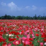 2017-12-05モヤモヤをなくすこと