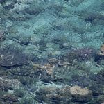 2018-12-06オーラリーディング