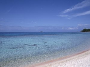 2017-10-23本気になれること