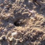 2018-12-13文章の理解