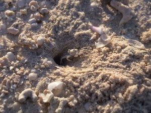 2018-12-13文章の理解