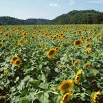 2019-03-31贈る言葉