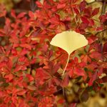 2018-06-18自分に正直