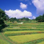 2019-07-11仕事の時間